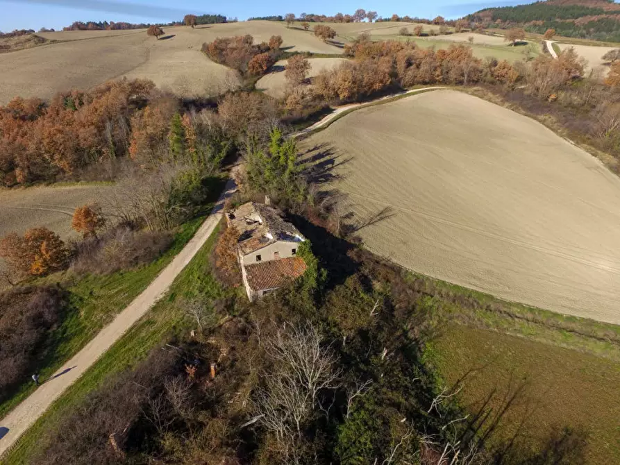 Immagine 2 di Rustico / casale in vendita  in strada Santa Barbara a Cagli