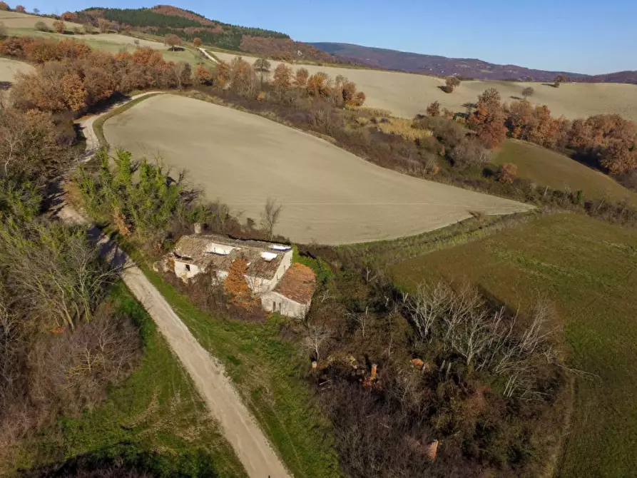 Immagine 3 di Rustico / casale in vendita  in strada Santa Barbara a Cagli