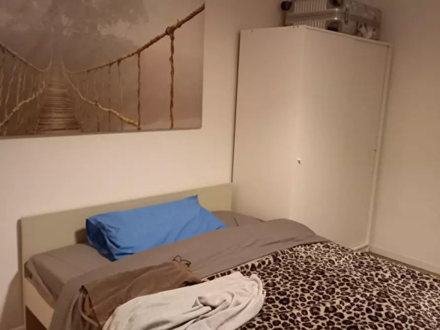 Immagine 24 di Appartamento in affitto  in Via Levacher, 21 a Colorno