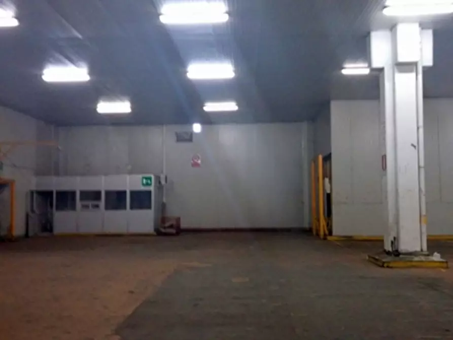 Immagine 6 di Laboratorio in affitto  in VIA EDISON a Cornaredo