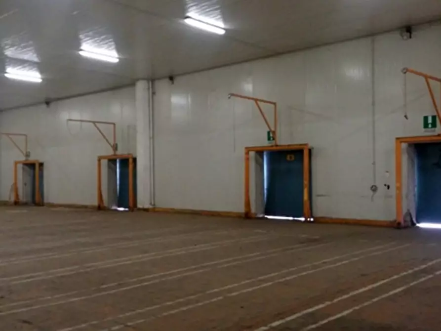 Immagine 3 di Magazzino in affitto  in VIA EDISON a Cornaredo