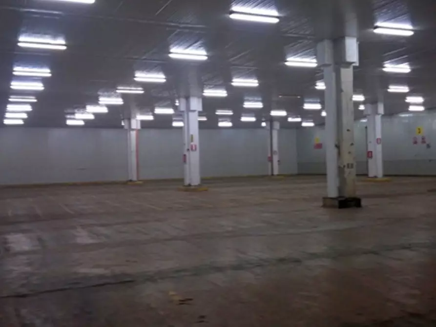 Immagine 4 di Magazzino in affitto  in VIA EDISON a Cornaredo