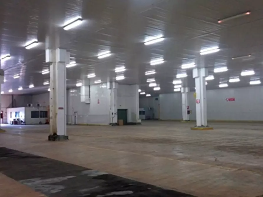 Immagine 17 di Magazzino in affitto  in VIA EDISON a Cornaredo