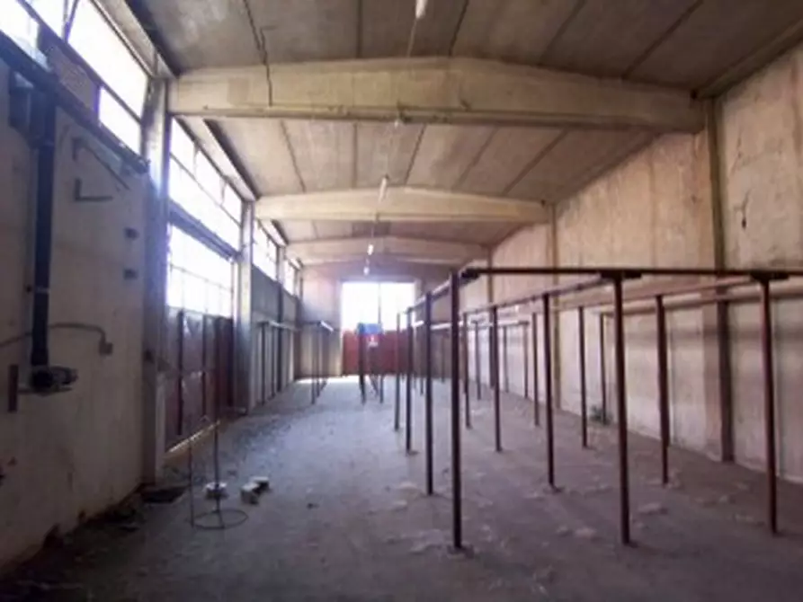 Immagine 6 di Laboratorio in vendita  in VIA PERCALI a Settala