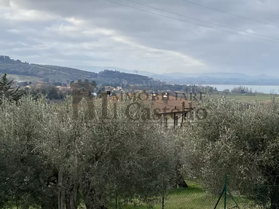 Immagine 2 di Terreno in vendita  in Via Godiola a Magione