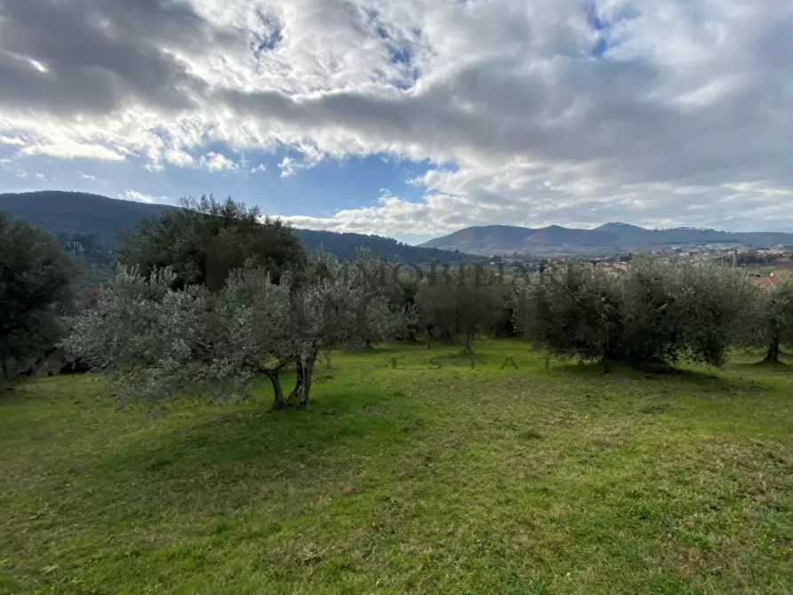 Immagine 4 di Terreno in vendita  in Via Godiola a Magione