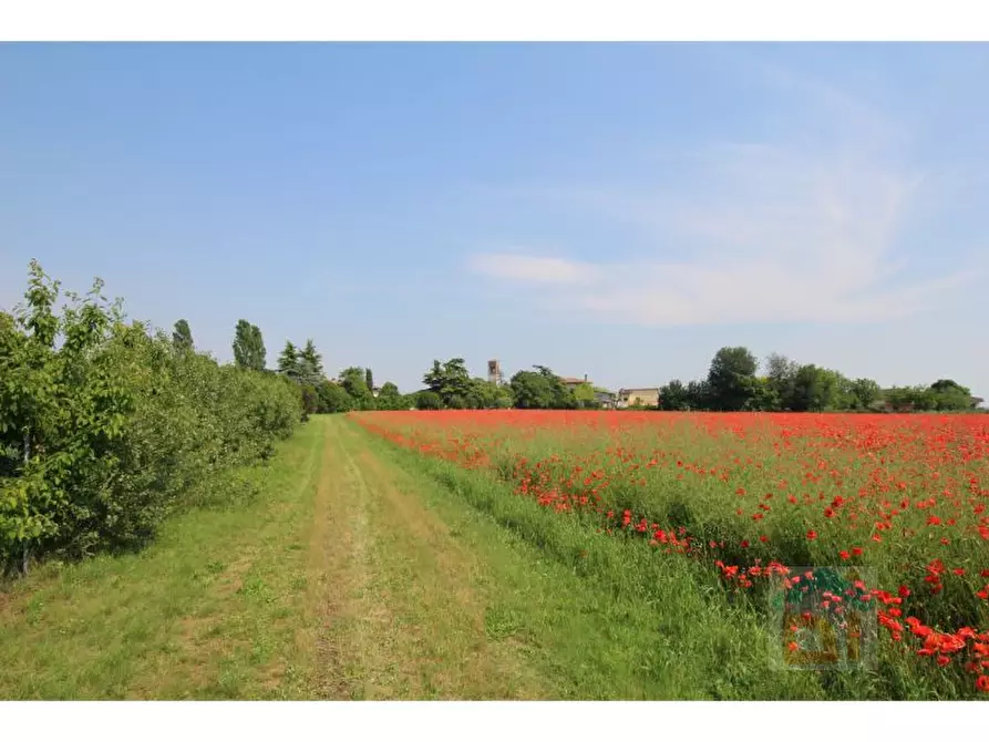 Immagine 5 di Palazzo in vendita  in via chiopris 62 a San Giovanni Al Natisone