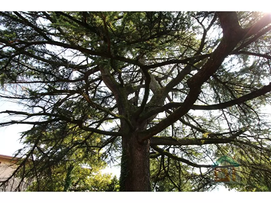 Immagine 15 di Palazzo in vendita  in via chiopris 62 a San Giovanni Al Natisone