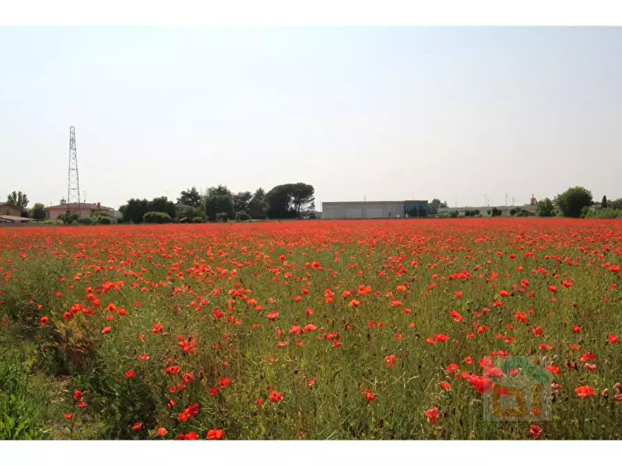 Immagine 18 di Palazzo in vendita  in via chiopris 62 a San Giovanni Al Natisone