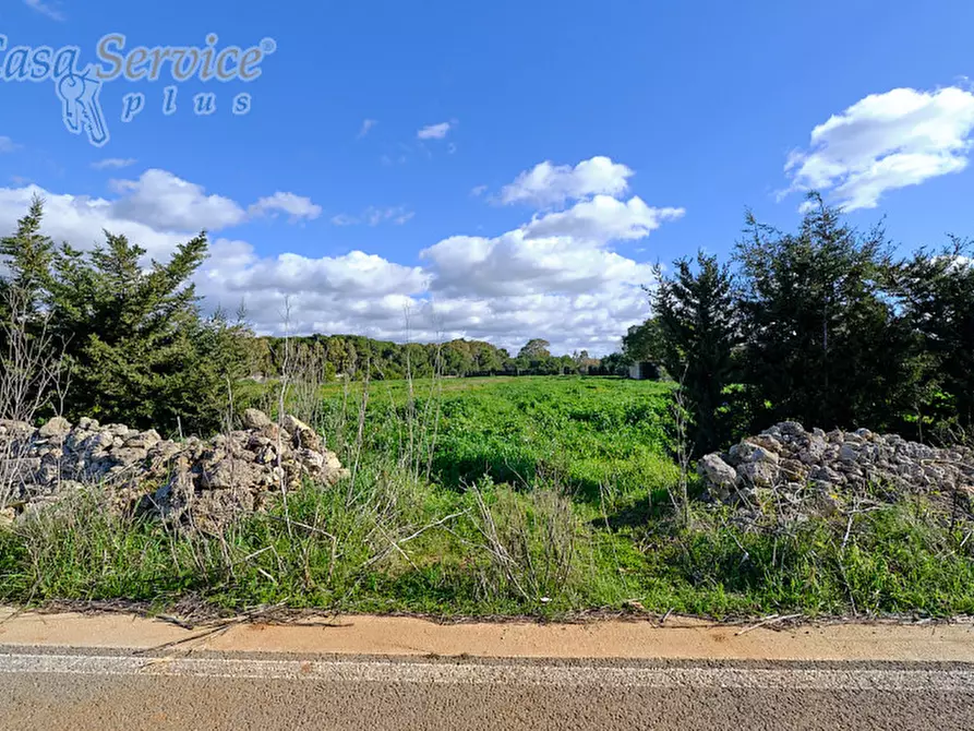 Immagine 2 di Terreno in vendita  in Località Li Foggi a Gallipoli