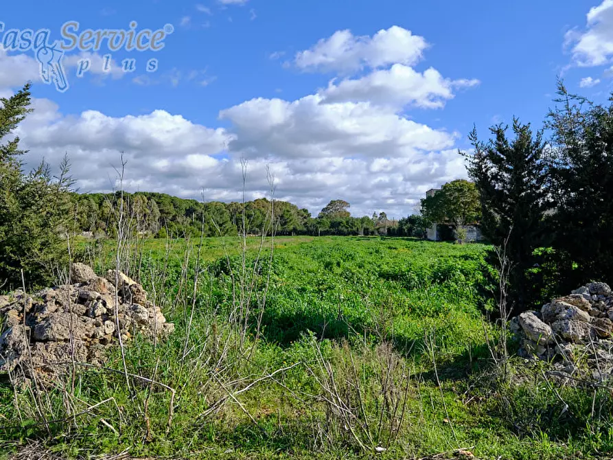 Immagine 3 di Terreno in vendita  in Località Li Foggi a Gallipoli