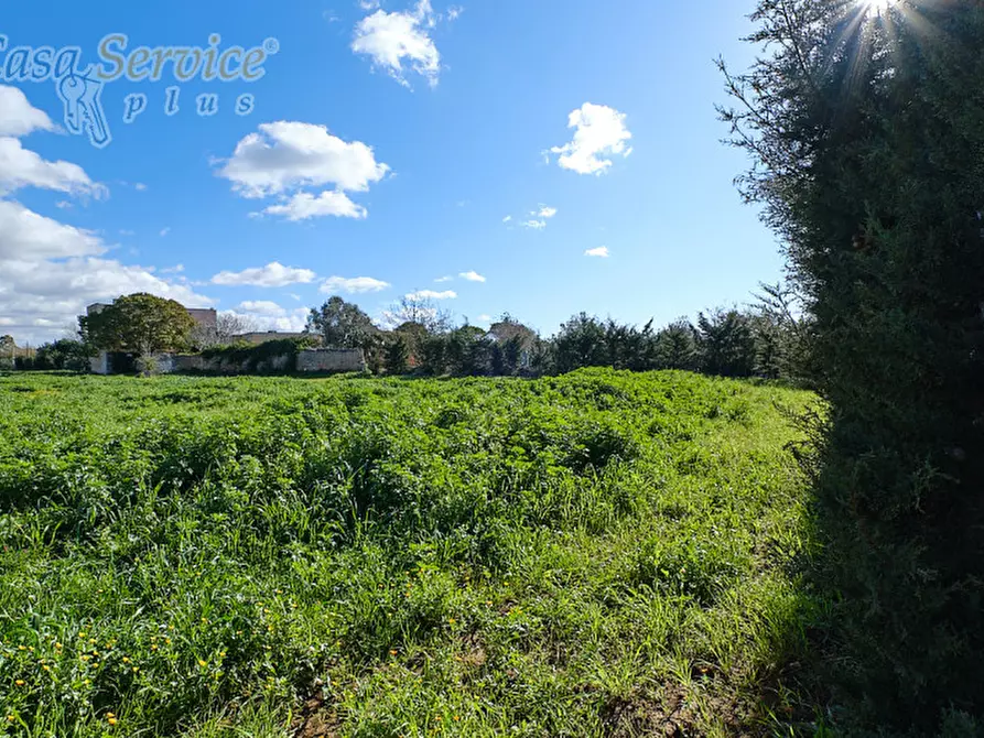 Immagine 4 di Terreno in vendita  in Località Li Foggi a Gallipoli