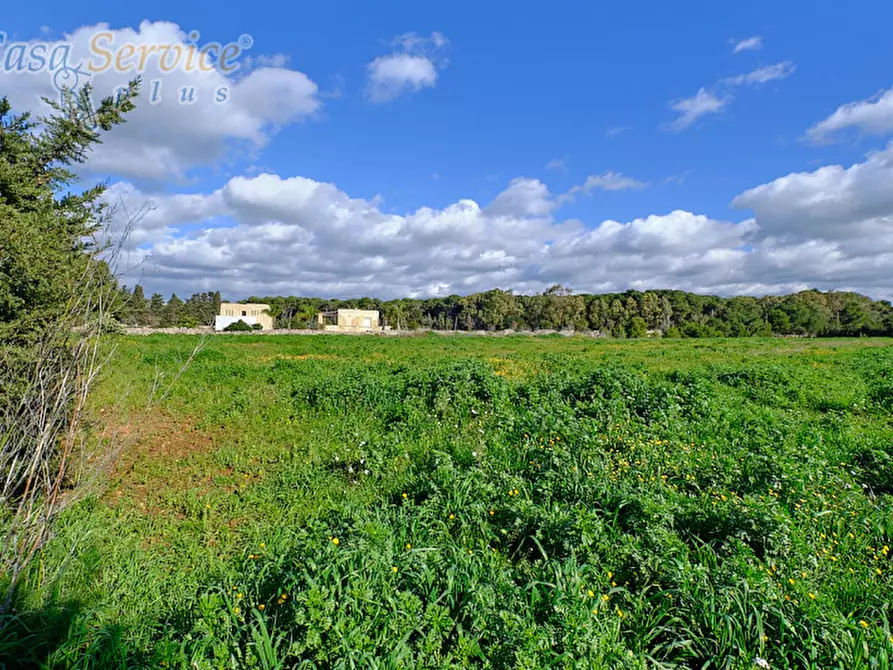 Immagine 5 di Terreno in vendita  in Località Li Foggi a Gallipoli