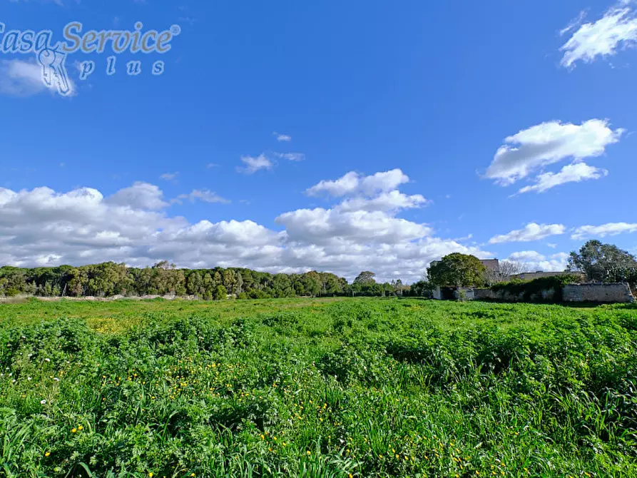 Immagine 6 di Terreno in vendita  in Località Li Foggi a Gallipoli