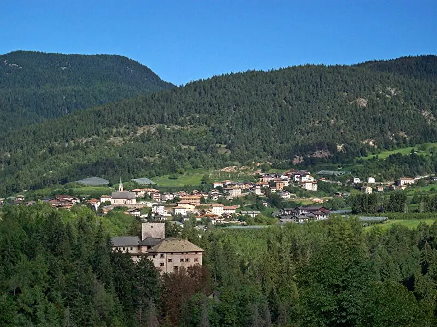 Immagine 1 di Terreno in vendita  in Dovena a Castelfondo