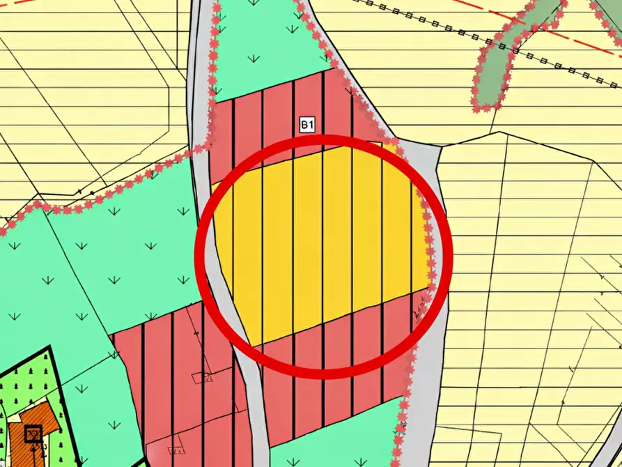 Immagine 12 di Terreno in vendita  in Dovena a Borgo D'anaunia
