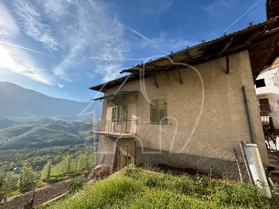 Immagine 3 di Casa indipendente in vendita  in Via S. Maria a Ton