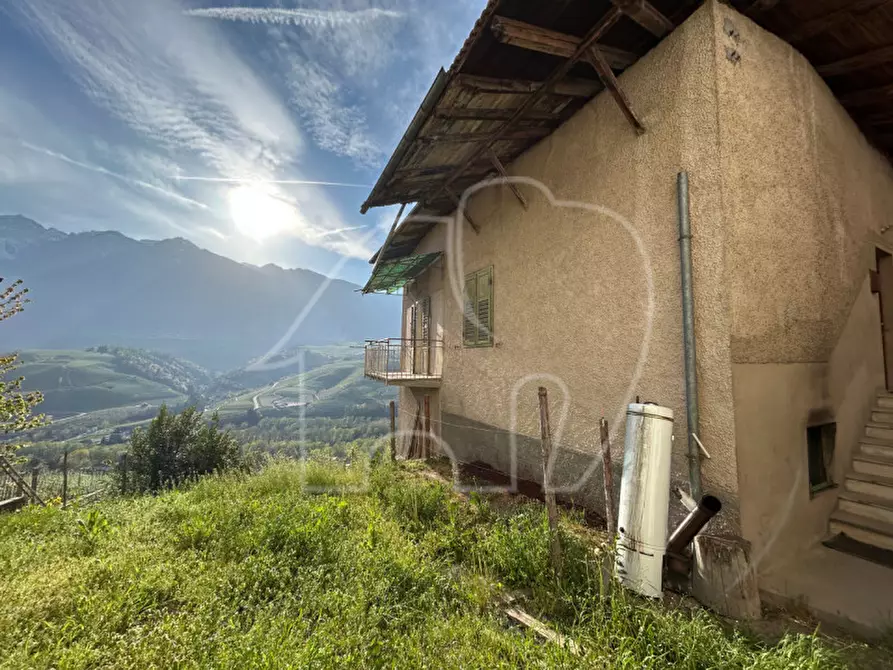 Immagine 4 di Casa indipendente in vendita  in Via S. Maria a Ton