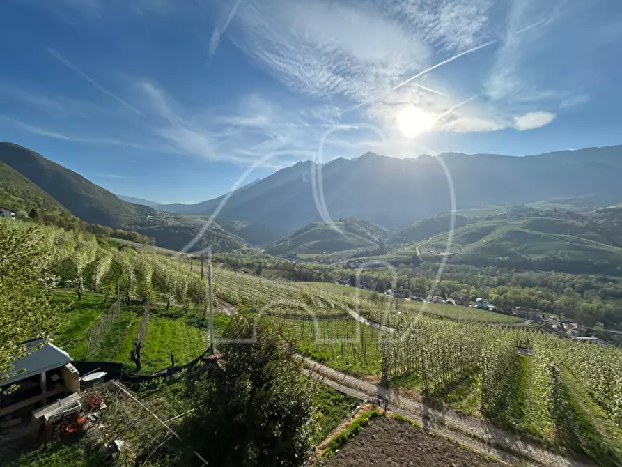 Immagine 9 di Casa indipendente in vendita  in Via S. Maria a Ton