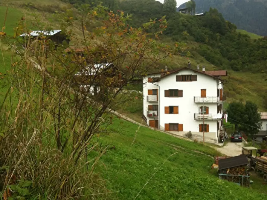 Immagine 2 di Appartamento in vendita  in Via Ciganotto  Valle di San pIETRO a San Pietro Di Cadore