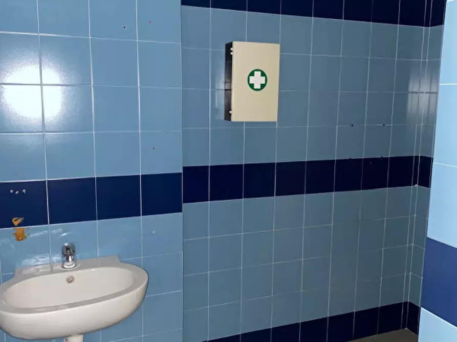 Immagine 12 di Magazzino in affitto  in VIA DI NOVOLI a Firenze