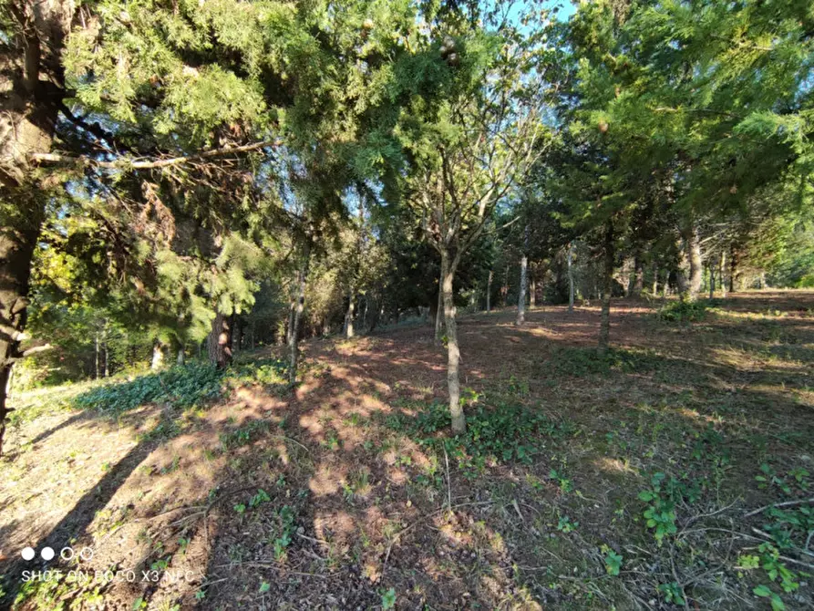 Immagine 20 di Capannone industriale in vendita  in CESANO BRUCIATA a Senigallia