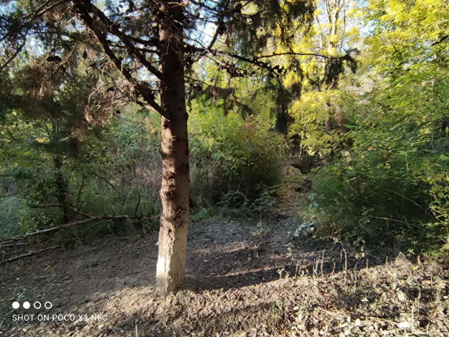 Immagine 22 di Capannone industriale in vendita  in CESANO BRUCIATA a Senigallia