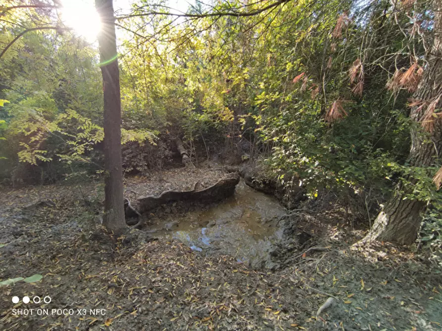 Immagine 23 di Capannone industriale in vendita  in CESANO BRUCIATA a Senigallia