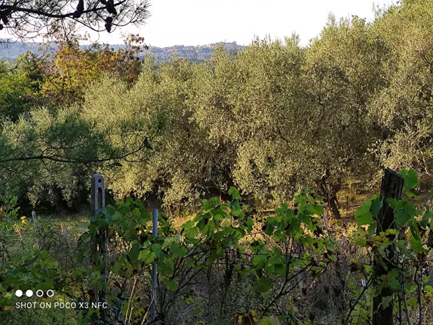 Immagine 24 di Capannone industriale in vendita  in CESANO BRUCIATA a Senigallia