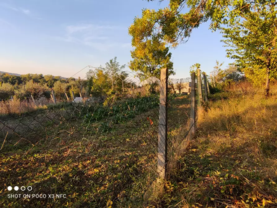 Immagine 26 di Capannone industriale in vendita  in CESANO BRUCIATA a Senigallia