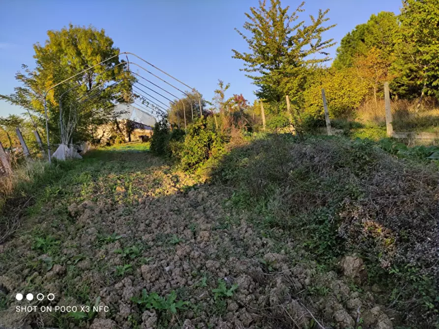 Immagine 27 di Capannone industriale in vendita  in CESANO BRUCIATA a Senigallia
