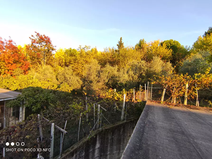 Immagine 29 di Capannone industriale in vendita  in CESANO BRUCIATA a Senigallia