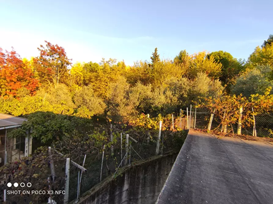 Immagine 30 di Capannone industriale in vendita  in CESANO BRUCIATA a Senigallia