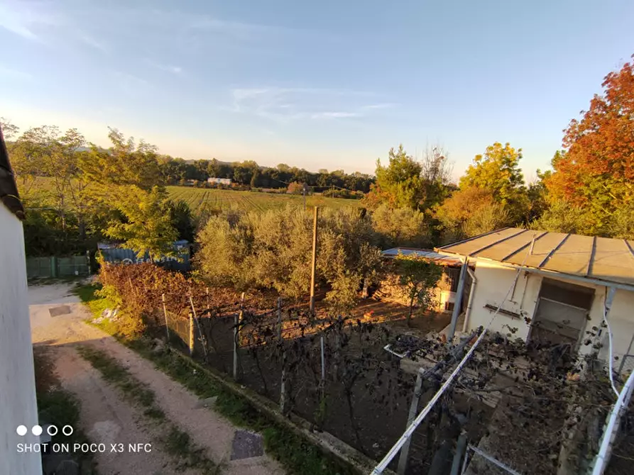 Immagine 31 di Capannone industriale in vendita  in CESANO BRUCIATA a Senigallia