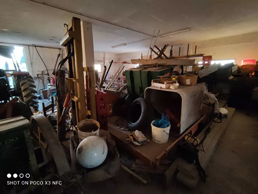 Immagine 33 di Capannone industriale in vendita  in CESANO BRUCIATA a Senigallia