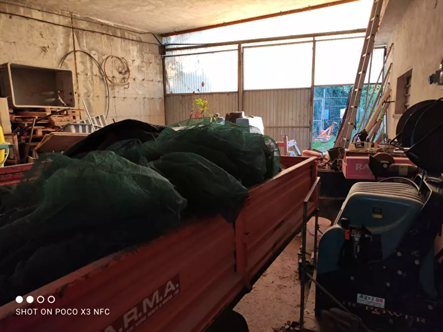 Immagine 35 di Capannone industriale in vendita  in CESANO BRUCIATA a Senigallia
