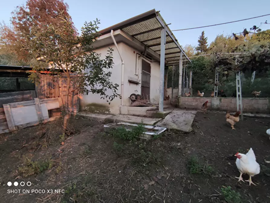Immagine 45 di Capannone industriale in vendita  in CESANO BRUCIATA a Senigallia
