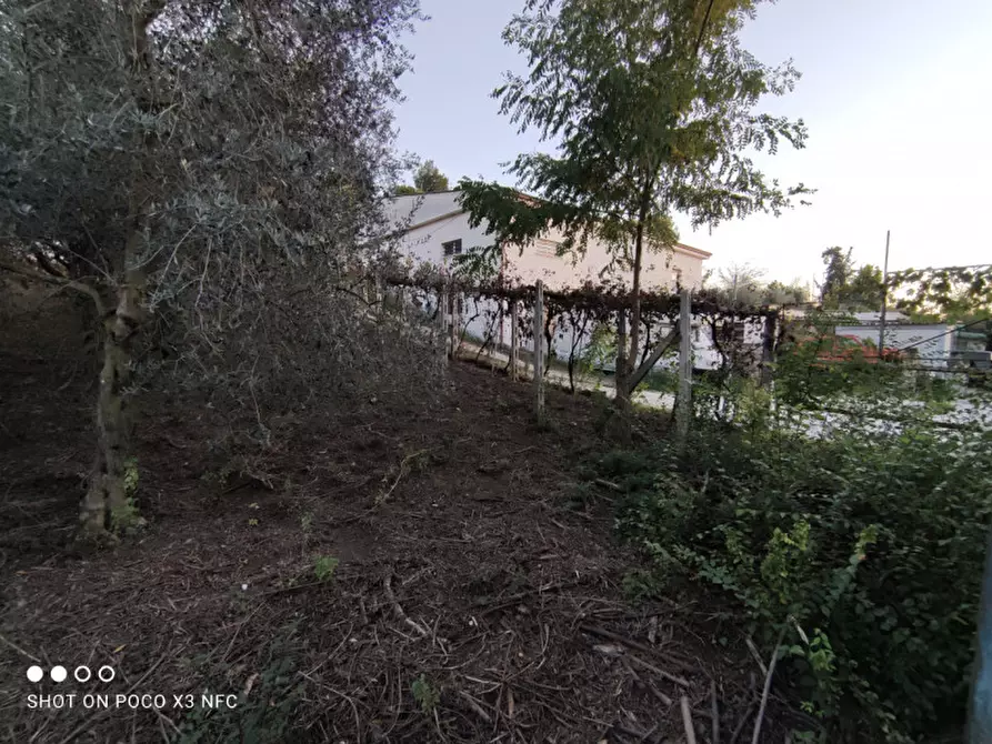 Immagine 46 di Capannone industriale in vendita  in CESANO BRUCIATA a Senigallia