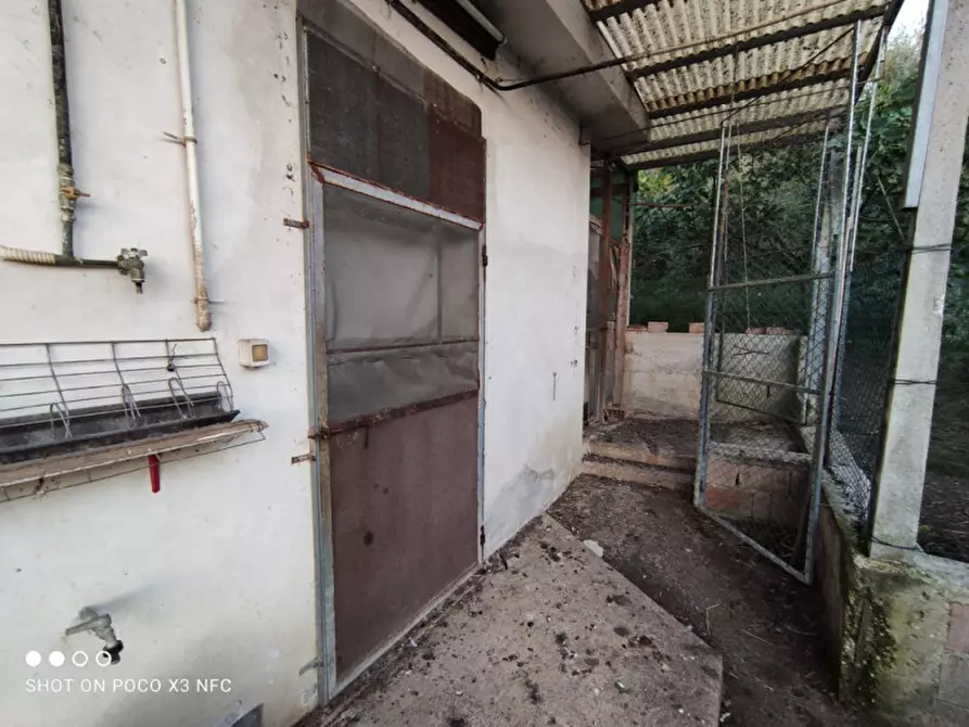 Immagine 47 di Capannone industriale in vendita  in CESANO BRUCIATA a Senigallia