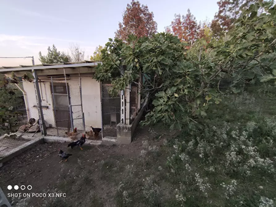 Immagine 48 di Capannone industriale in vendita  in CESANO BRUCIATA a Senigallia