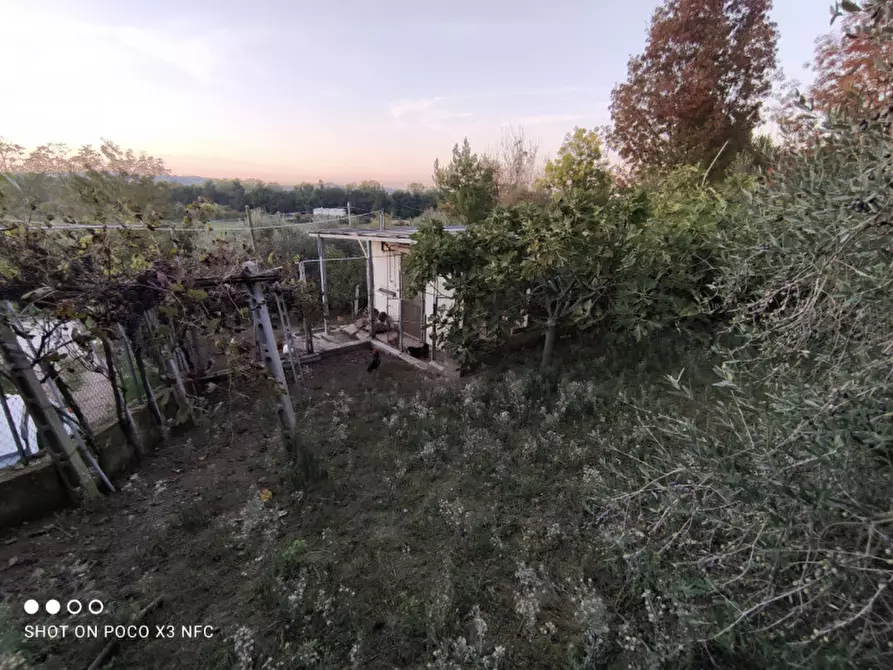 Immagine 49 di Capannone industriale in vendita  in CESANO BRUCIATA a Senigallia