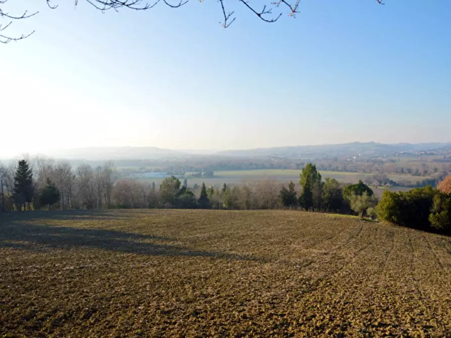 Immagine 51 di Capannone industriale in vendita  in CESANO BRUCIATA a Senigallia