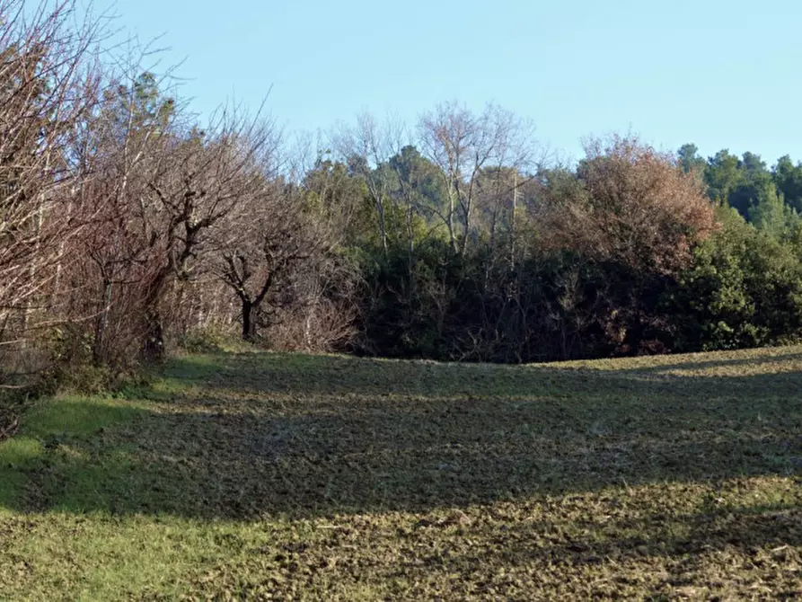 Immagine 53 di Capannone industriale in vendita  in CESANO BRUCIATA a Senigallia