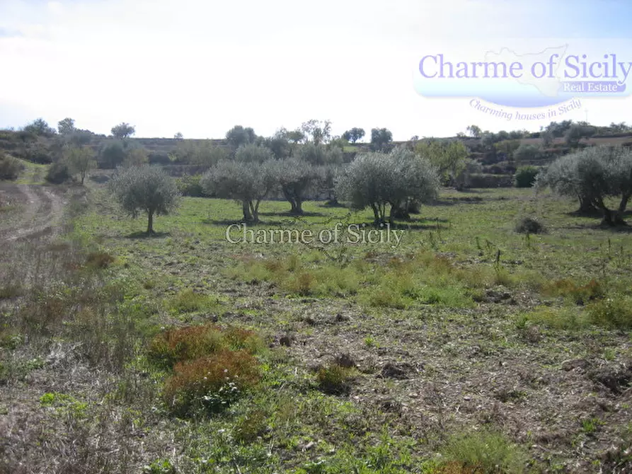 Immagine 17 di Rustico / casale in vendita  in Contrada Salinella a Ragusa