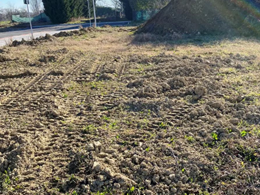 Immagine 1 di Terreno in vendita  a Borgoricco