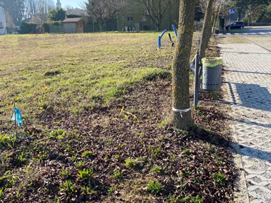 Immagine 2 di Terreno in vendita  a Borgoricco