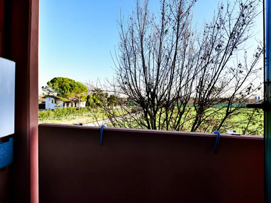 Immagine 11 di Appartamento in affitto  in via Firenze a Ponte San Nicolò