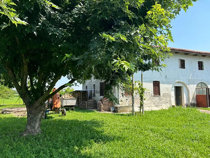 Immagine 1 di Rustico / casale in vendita  in Via Cervan a Castelfranco Veneto