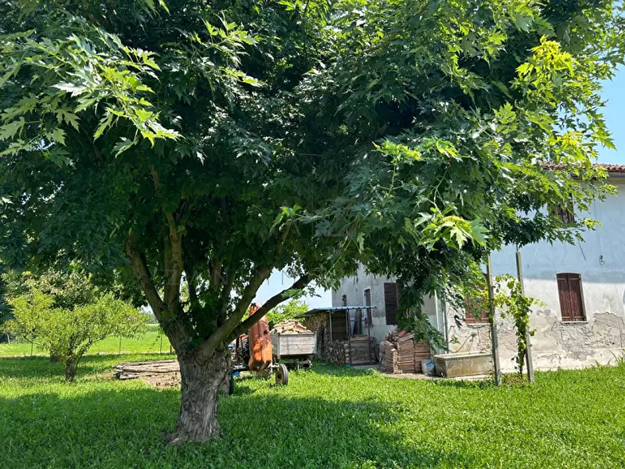 Immagine 3 di Rustico / casale in vendita  in Via Cervan a Castelfranco Veneto