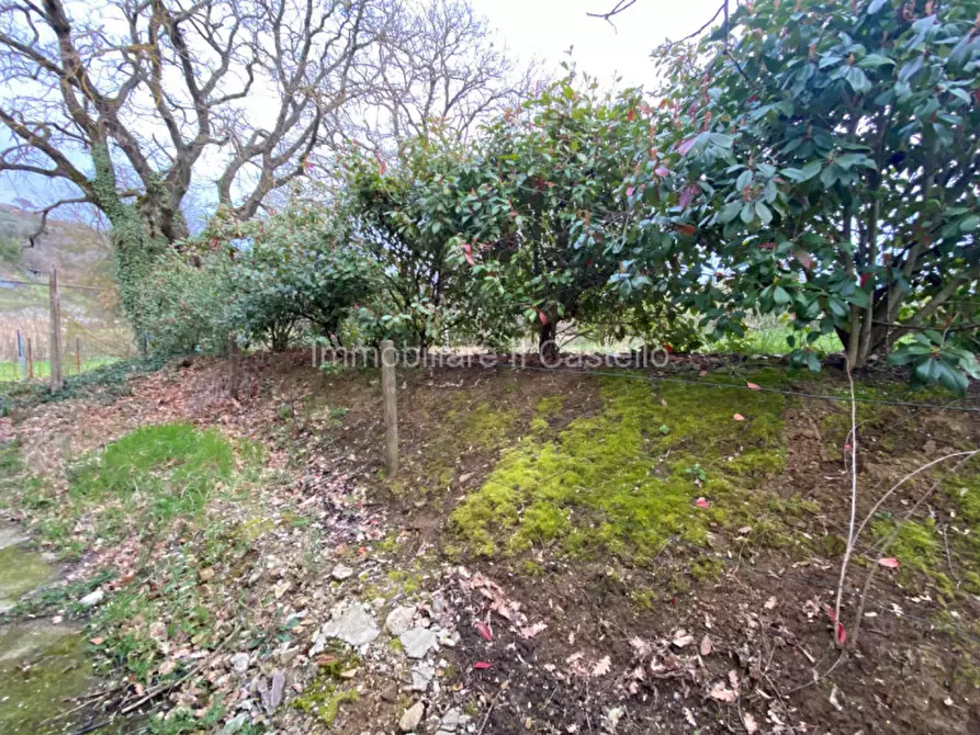 Immagine 25 di Villetta a schiera in vendita  a Città Della Pieve